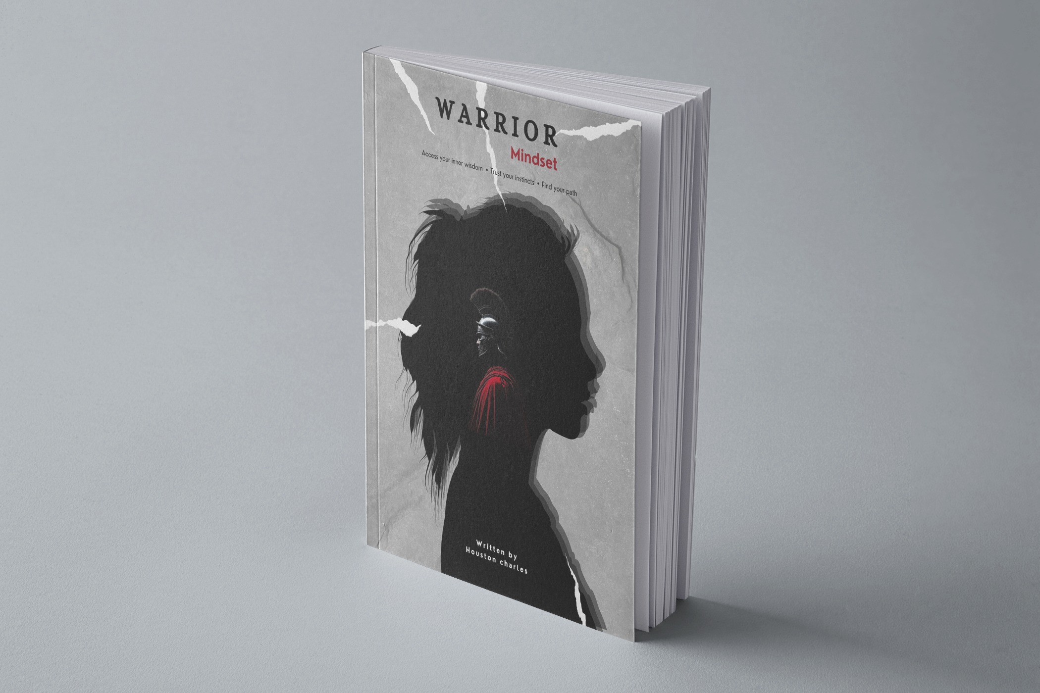 Warrior Mindset Book